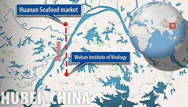 1 28 Map of Hubei China and Wuhan GIF